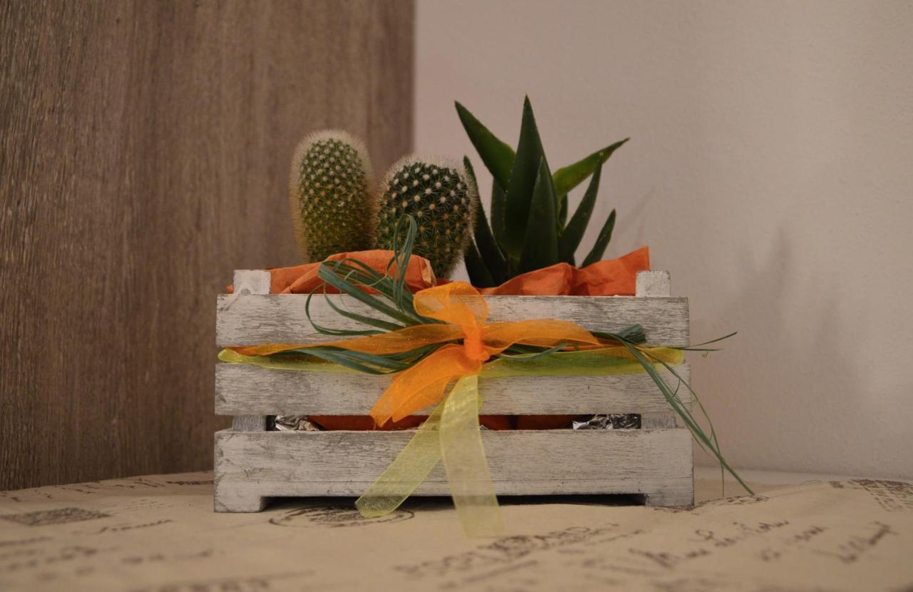 Il Sorriso Bed and Breakfast Negrar Εξωτερικό φωτογραφία
